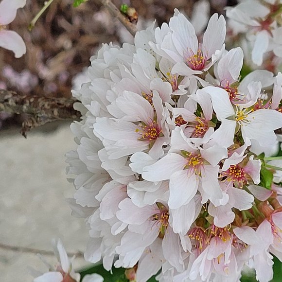 Meet your Posher, Terry - Picture 1 of 1